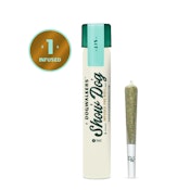PREROLL | BROWNIE SCOUT